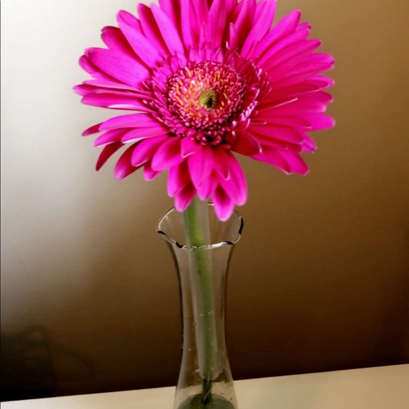 Meet your Posher, Marissa - Picture 2 of 2